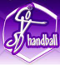 sport collectif handball club CVSD